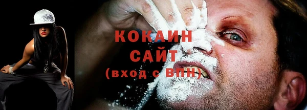 спайс Алексин