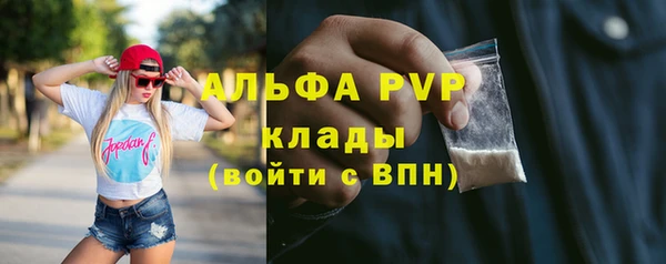 гашик Алзамай