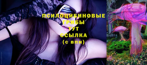 спайс Алексин