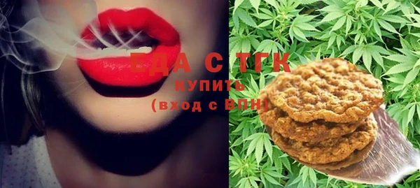 гашик Алзамай