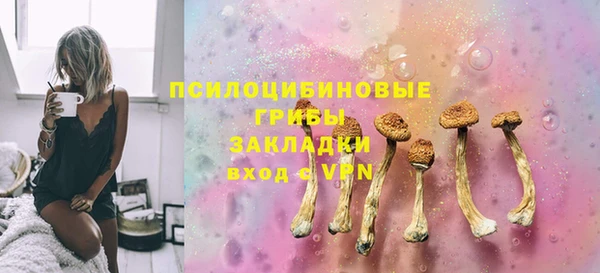 спайс Алексин