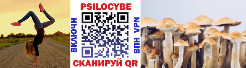 Галлюциногенные грибы мицелий  ОМГ ОМГ сайт  Нижний Новгород  продажа наркотиков 